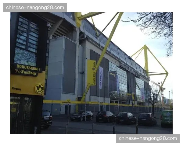 多特蒙德与当地大学合作研究项目：足球比赛中传中决策的认知神经科学